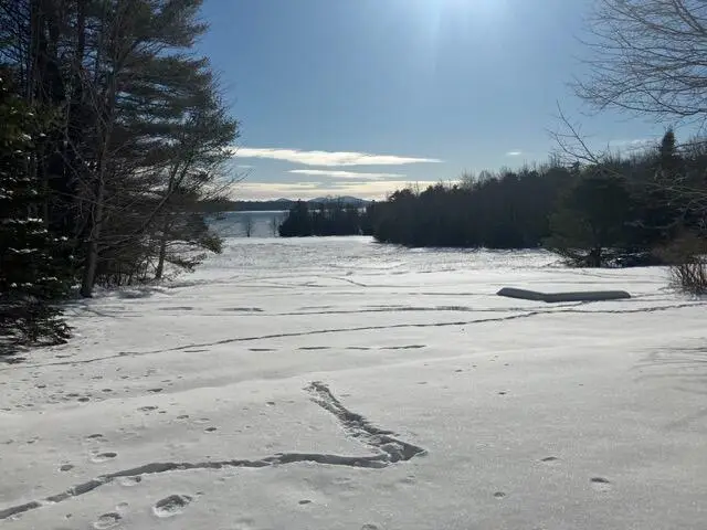 24 Berry Cove Road, Lamoine, ME 04605 - #3