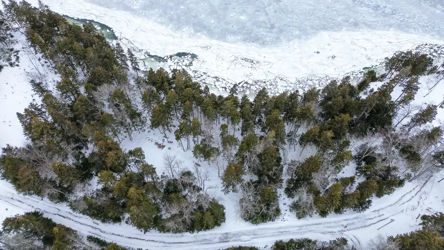 Lot B Fort Williams Road, Harrington, ME 04643 - #3