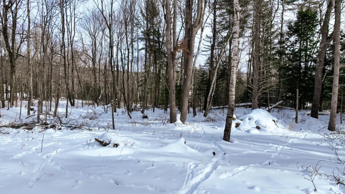 20 Skyscraper Hill Road, Brooks, ME 04921 - #1