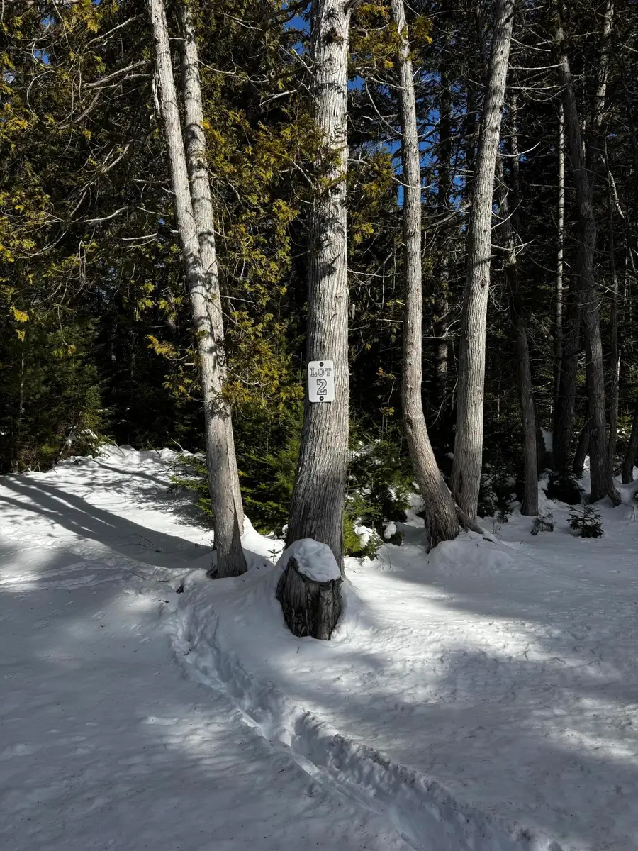 Lot 2 Driftwood Way, Mount Desert, ME 04660 - #3