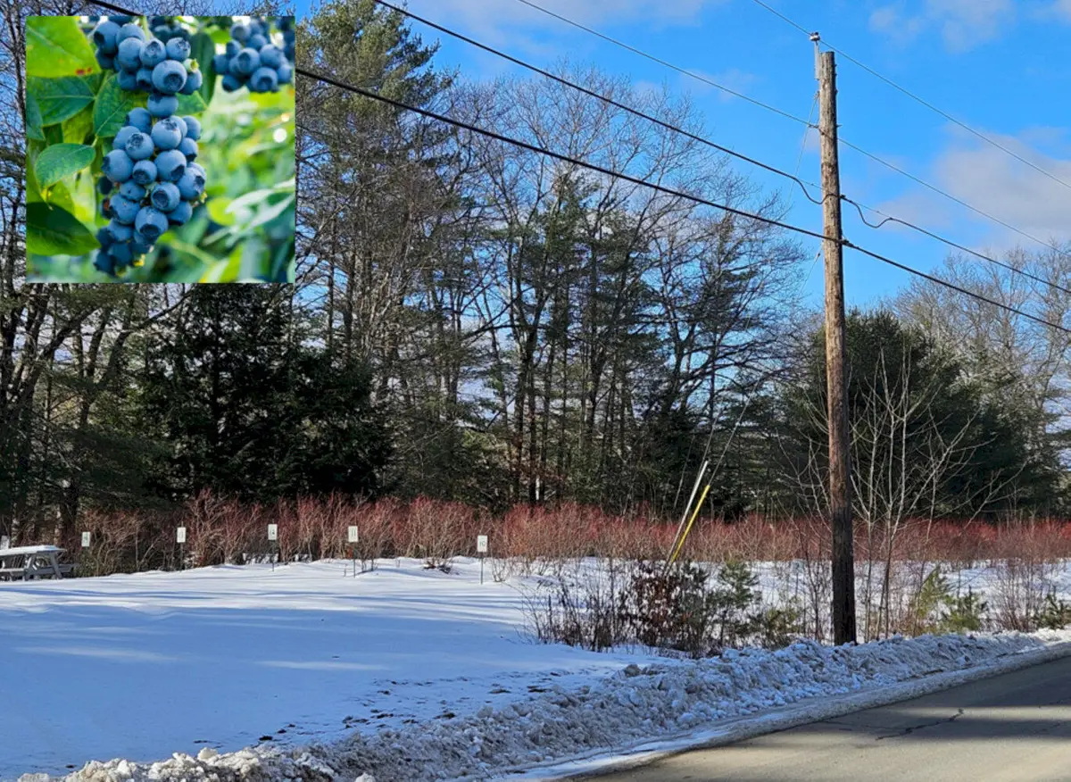 TBD East River Road, Skowhegan, ME 04976 - #1