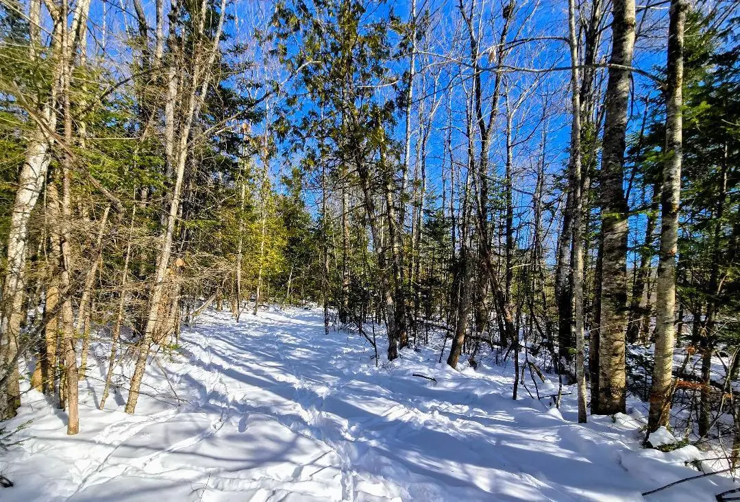 M52 L34A Stanley Hill Road, South China, ME 04926 - #1