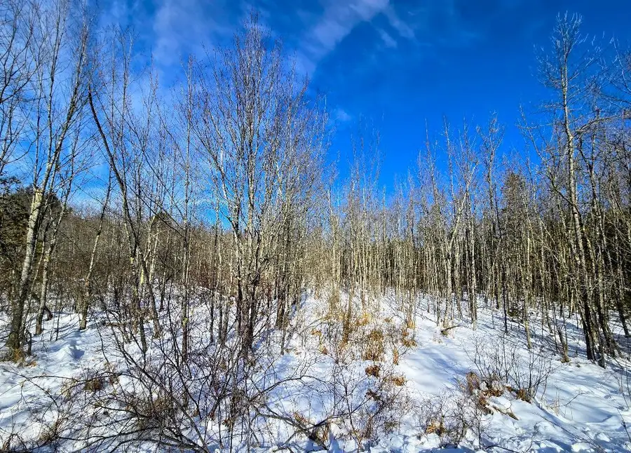 M52 L34A Stanley Hill Road, South China, ME 04926 - #2