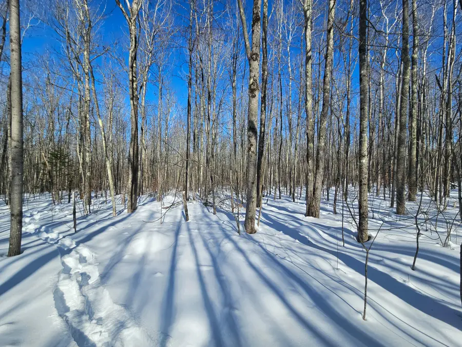 M-17 L-15 York Hill Road, New Sharon, ME 04955 - #2