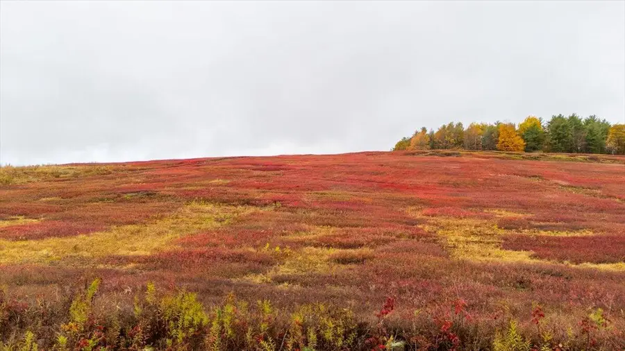 1490 Parmenter Road, Palermo, ME 04354 - #3