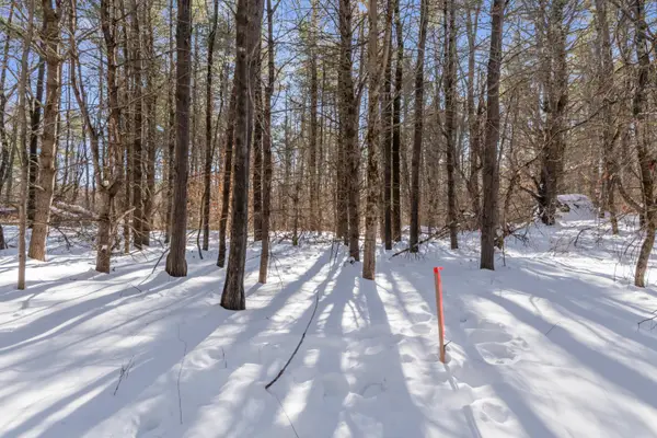 1594 Tatnic Road #Lot A, Wells, ME 04090