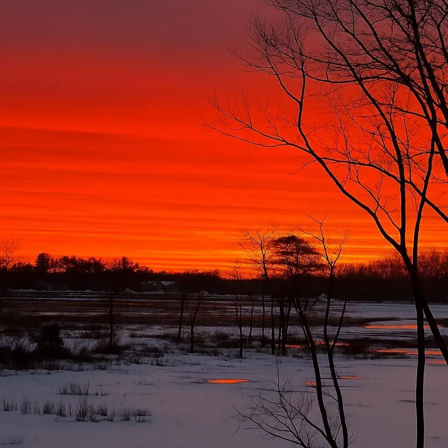 23 Goosefair, Kennebunkport, ME 04046 - #2