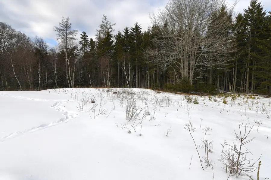 12 Lindsay's Road, Deer Isle, ME 04627 - #3