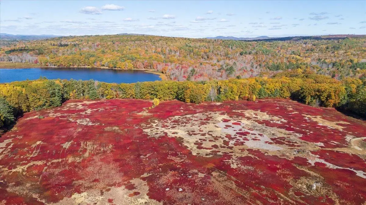 1443 Old Augusta Road, Waldoboro, ME 04572 - #1