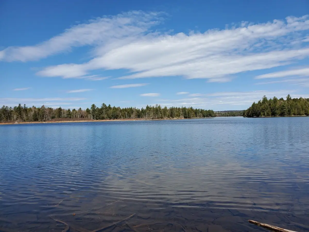 1.3 ac Off Barrows Lake Road, Alexander, ME 04694 - #1