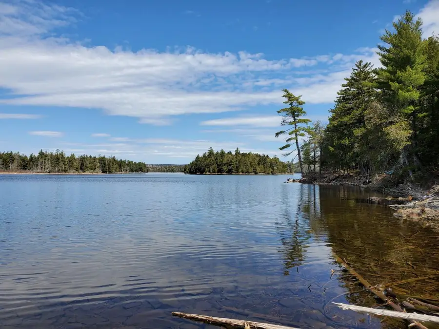 1.3 ac Off Barrows Lake Road, Alexander, ME 04694 - #2