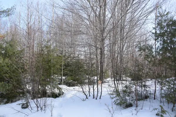 M7 L13-1 Pine Bluff Road, Embden, ME 04958