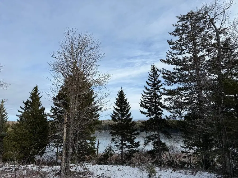 Lot 7BH Steam Mill Road, Robbinston, ME 04671 - #2