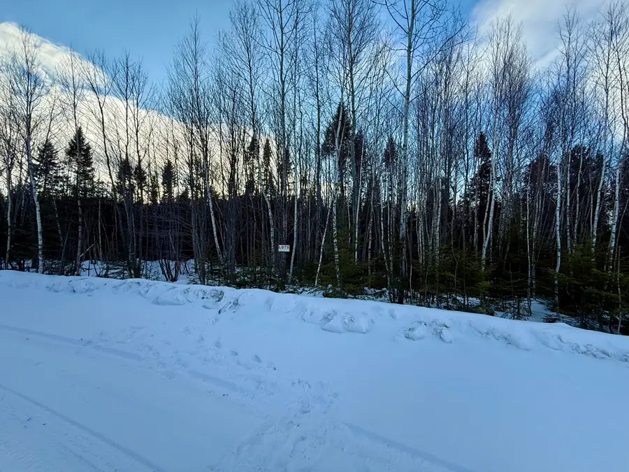 Lot #6 Greenville Steam Road, Greenville, ME 04441 - #2