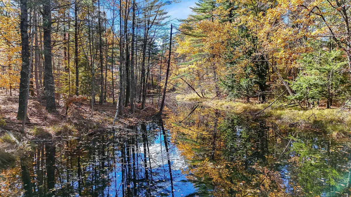 60 Sequoia Lane, Lake Arrowhead, ME 04061 - #1