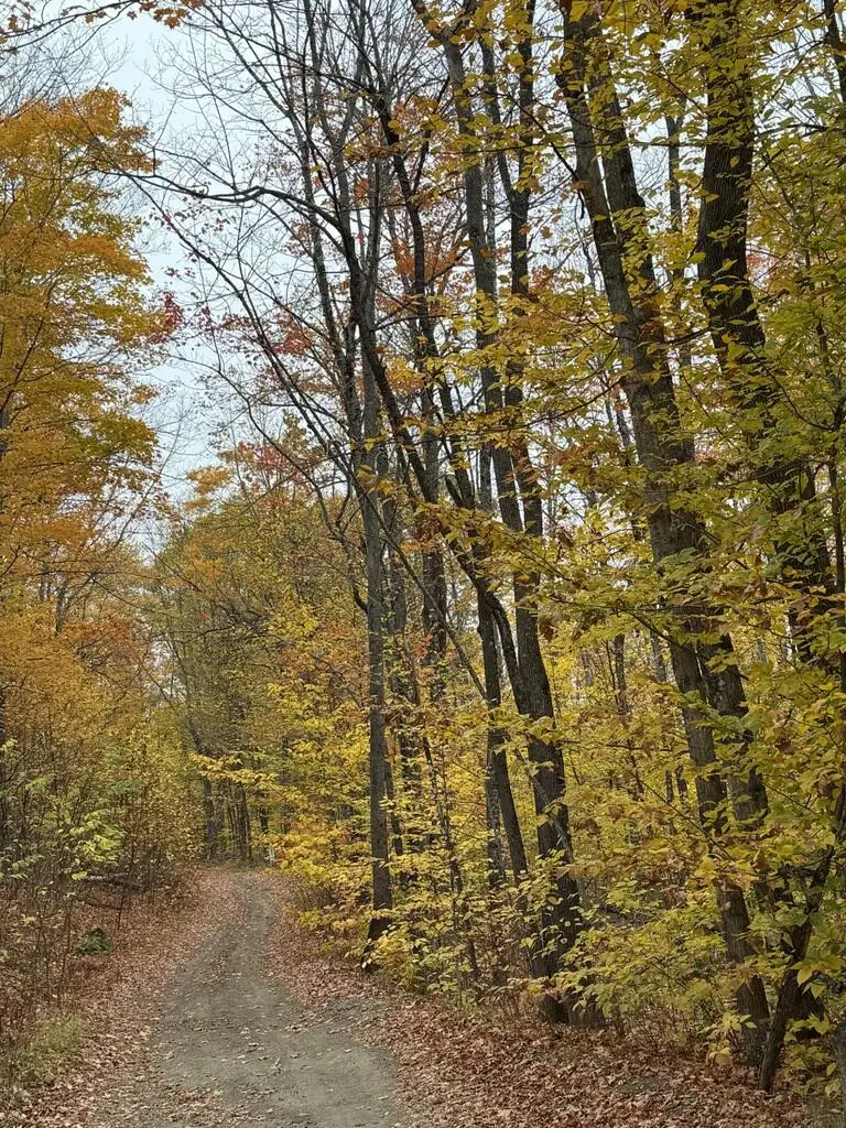 Lot 005 Greenwood Brook Road, Industry, ME 04938 - #3