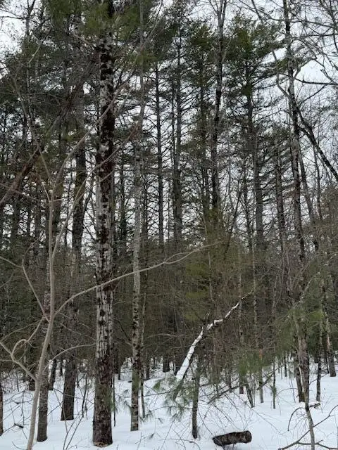 Lot 1 Willow Way, Jefferson, ME 04348 - #3
