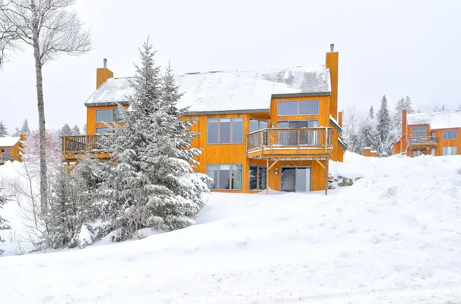 14 Black Gnat - Week C Lane #1069, Sandy River Plt, ME 04970 - #2