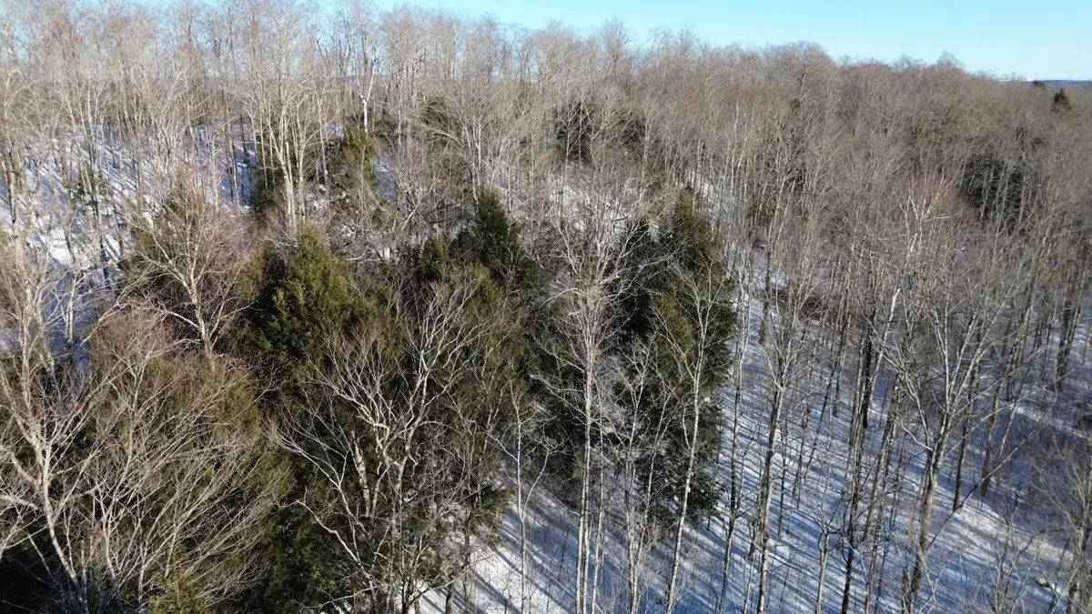 M7L22,L31 Nelson Ridge Road N, Washington, ME 04574 - #1