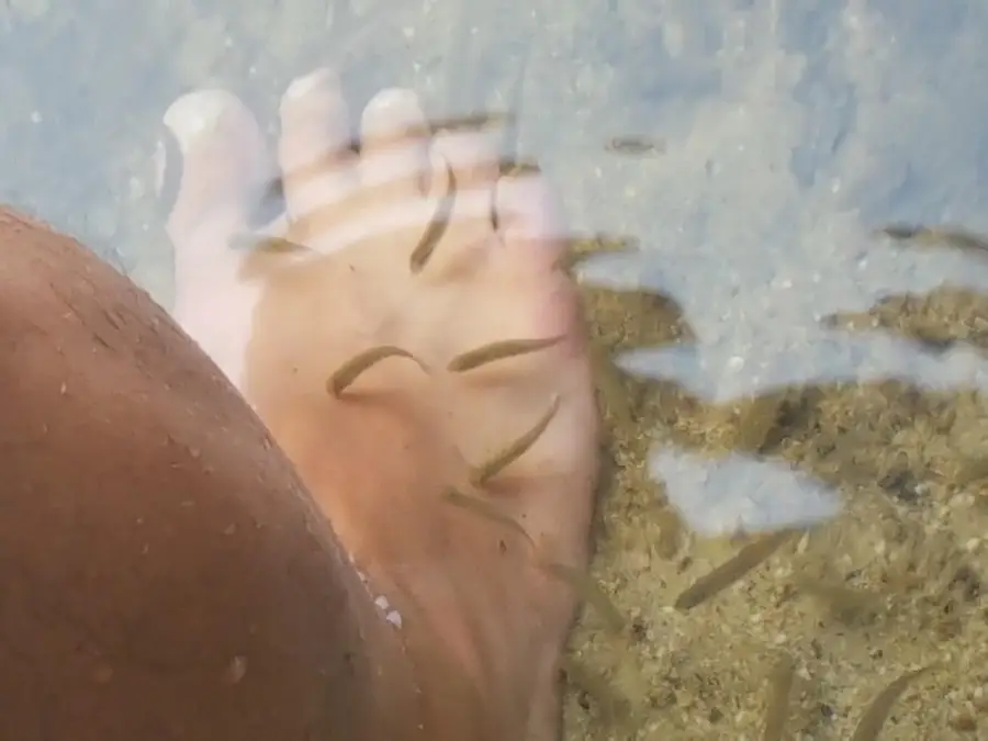 594 River Road Road, Windham, ME 04062 - #2