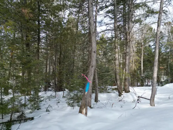 12 Falcon Ridge, Lincoln, ME 04457