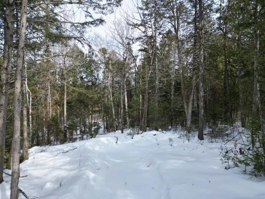 12 Falcon Ridge, Lincoln, ME 04457 - #2