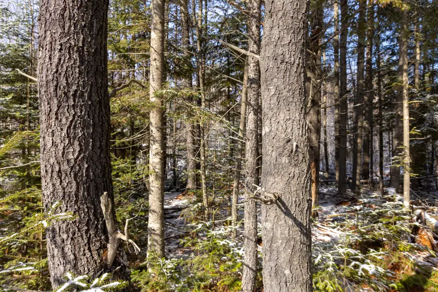 M11L3 Stud Mill Road, Milford, ME 04461 - #2