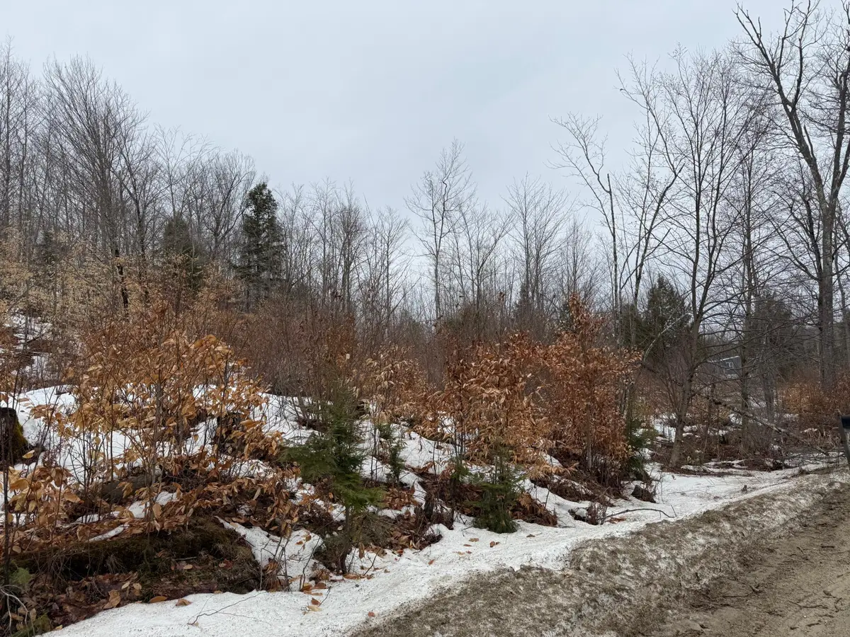 Address Withheld By Seller, Buckfield, ME 04220 - #1