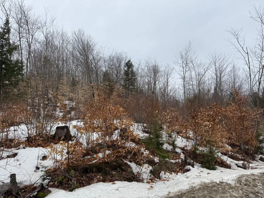 Address Withheld By Seller, Buckfield, ME 04220 - #3