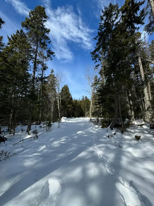 12 Jamestown Road, Vinalhaven, ME 04863