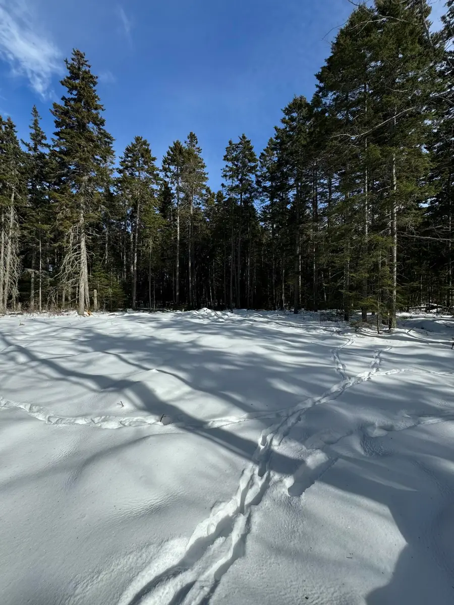 12 Jamestown Road, Vinalhaven, ME 04863 - #3