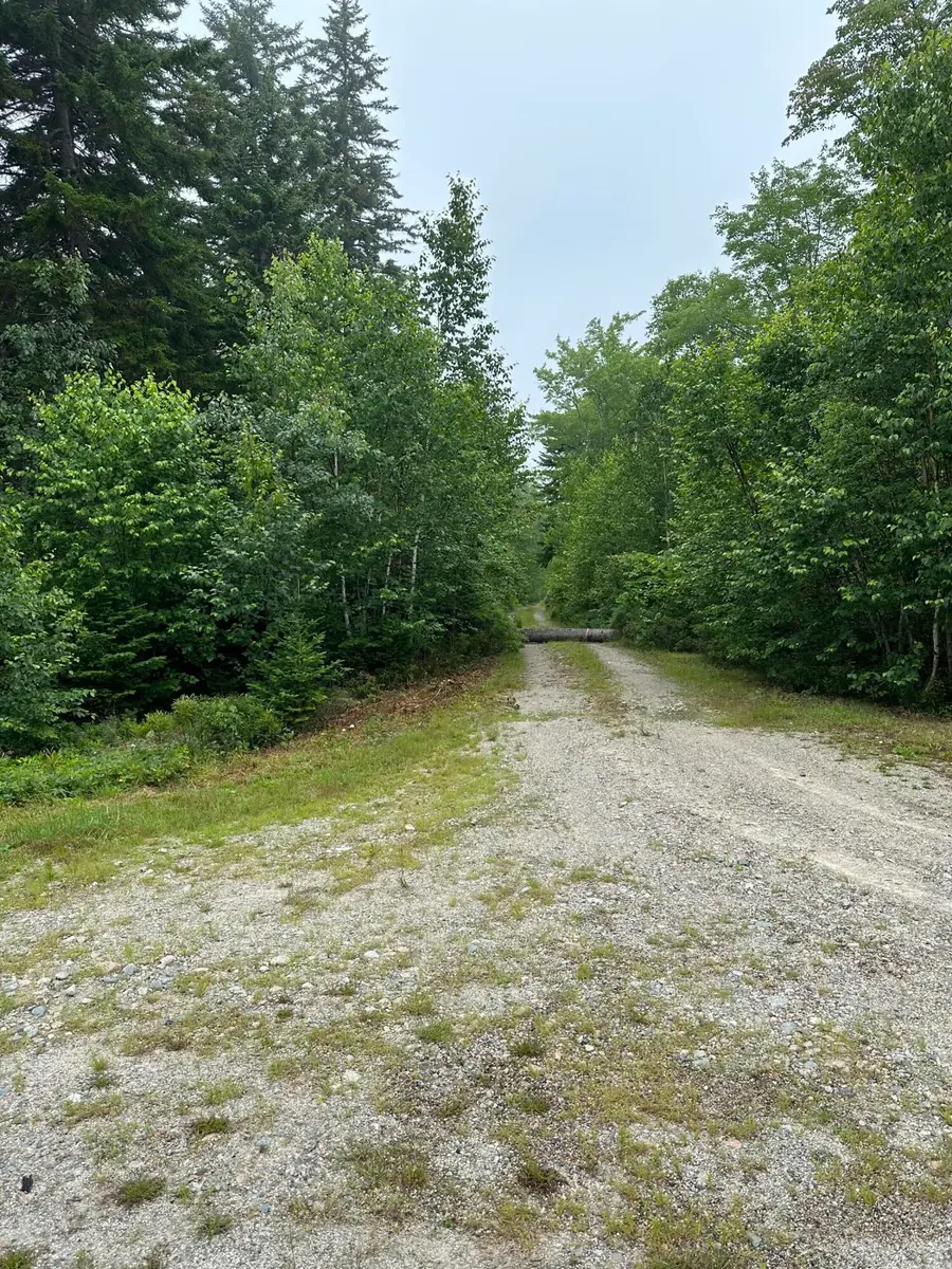 Lot 44 Estates Road, Steuben, ME 04680 - #3