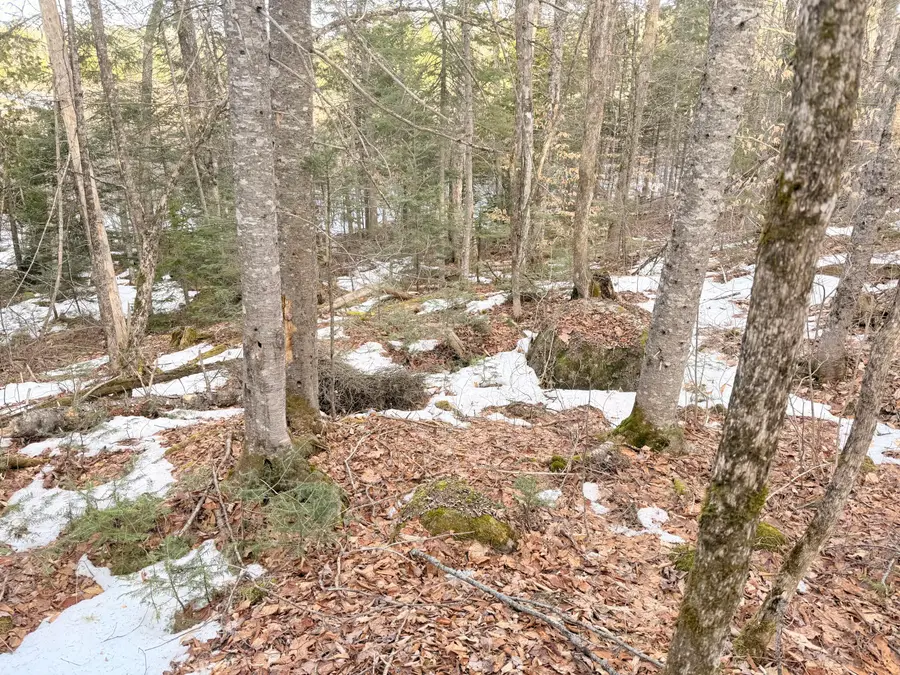 370 Maple Road, Atkinson, ME 04426 - #3