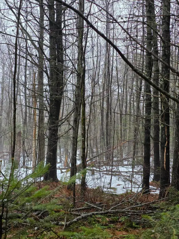 00 Harriman Road, Swanville, ME 04915