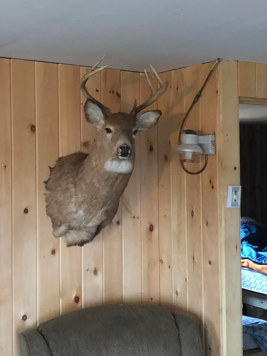 Project576 Benedicta Twp, South Aroostook, ME 04733 - #2