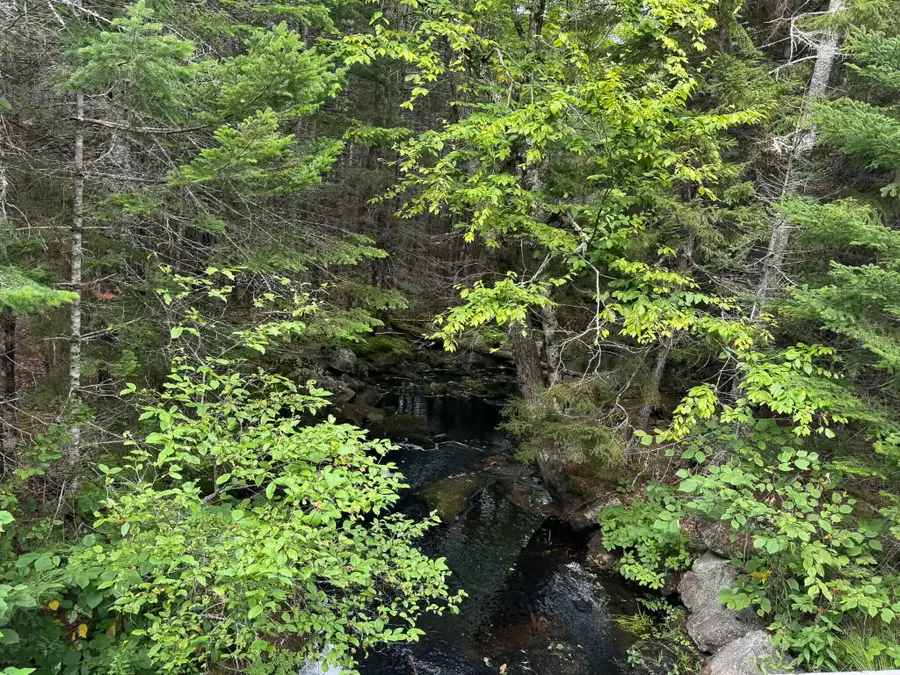 Lot 6 Black Cow Meadow Road, Northfield, ME 04654 - #2