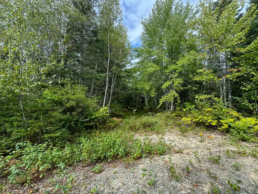 Lot 6 Black Cow Meadow Road, Northfield, ME 04654 - #3