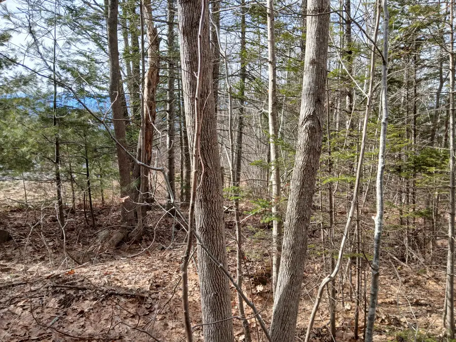 Lot 69-12 Hilltop Drive, Wiscasset, ME 04578 - #3