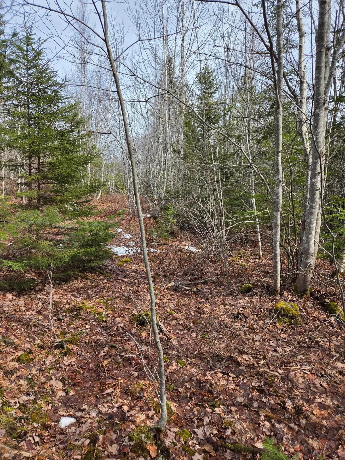 0 lots 3&4 Northfield Road, Marshfield, ME 04654 - #1