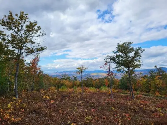 105 Mine Road #Lot 8, Stoneham, ME 04231 - #3