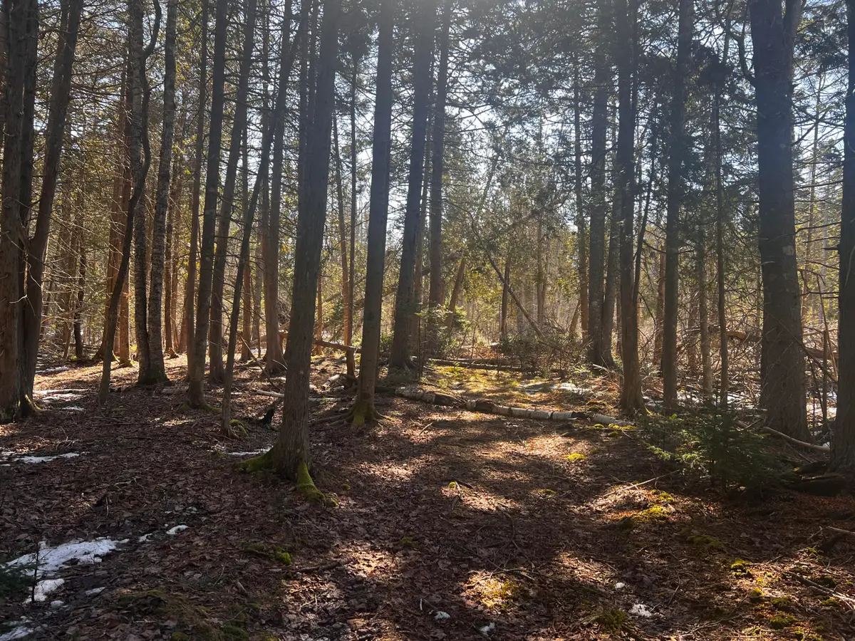 1148 Cape Rosier Road, Brooksville, ME 04617 - #1