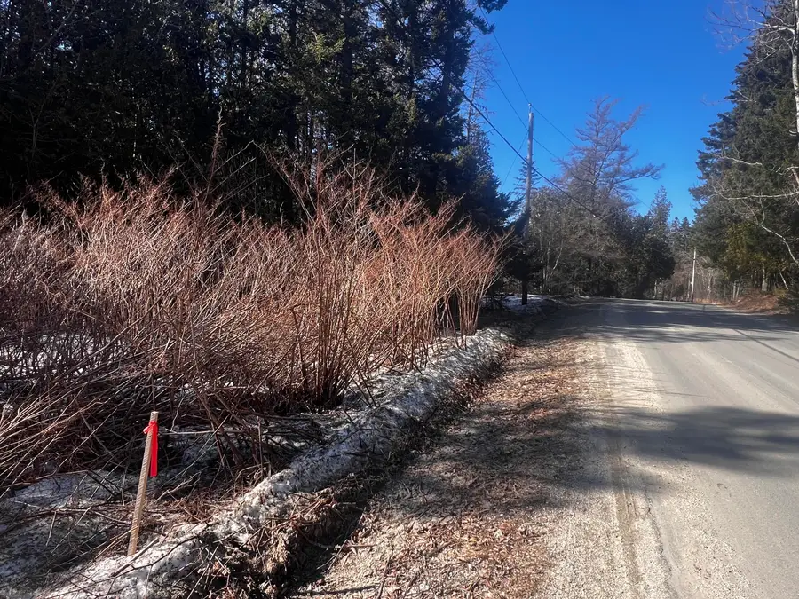 1148 Cape Rosier Road, Brooksville, ME 04617 - #2