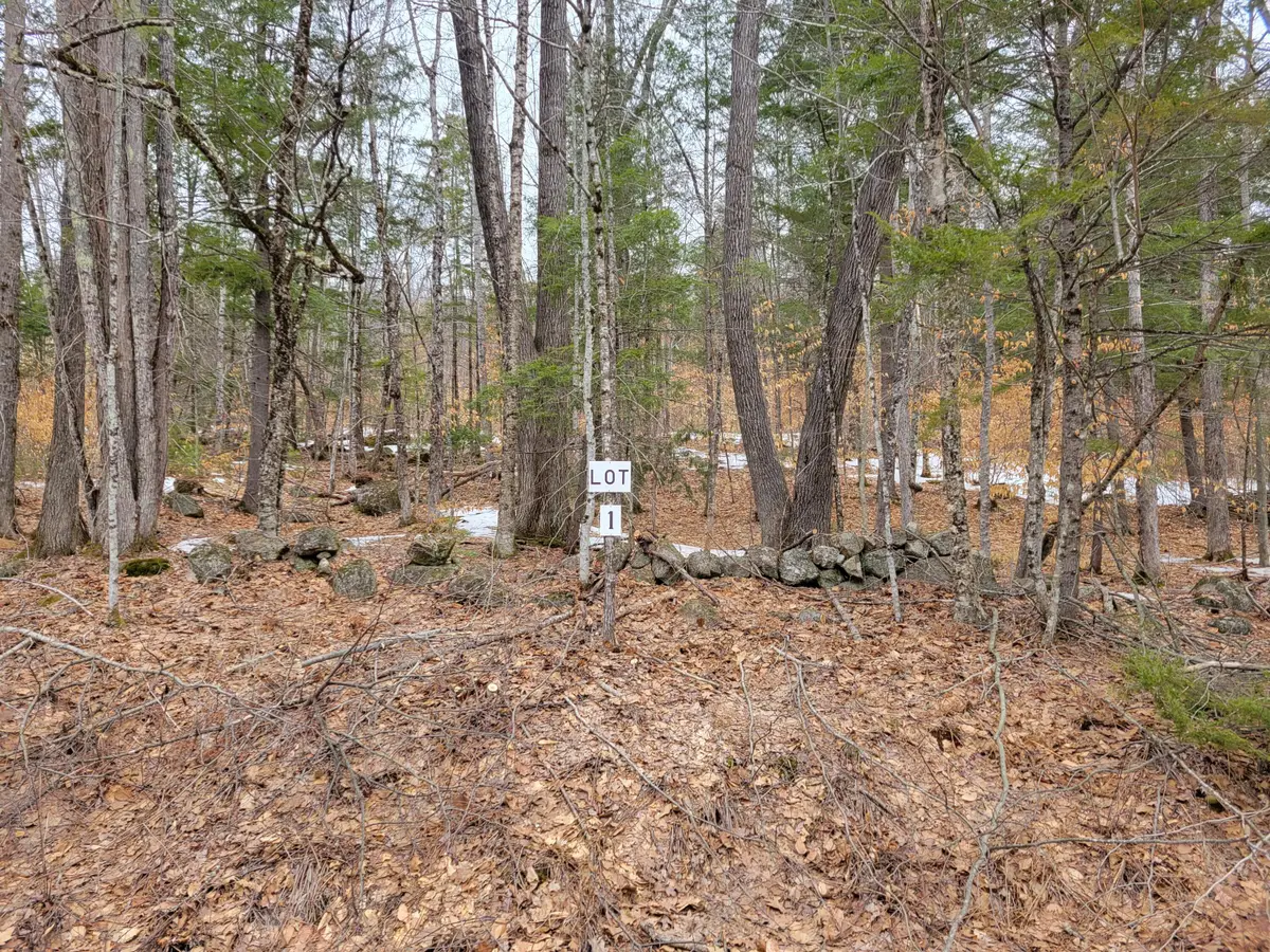 Lot #1 W West Fryeburg Road, Fryeburg, ME 04037 - #1