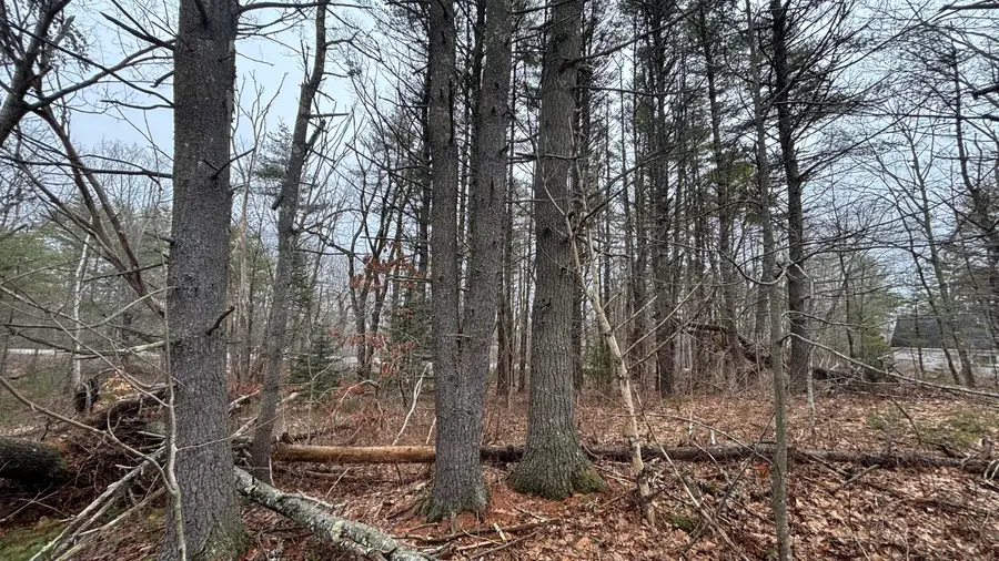 74 Mountain Road, Woolwich, ME 04579 - #3