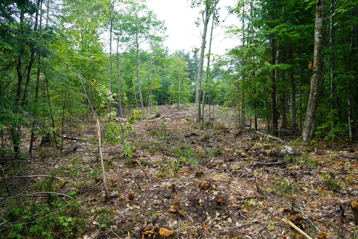 89 Chapman Road, Harrison, ME 04040 - #1