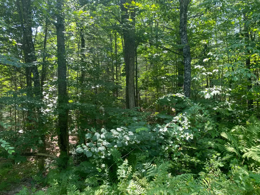 Map1Lot25 Taylor Road, Athens, ME 04912 - #2