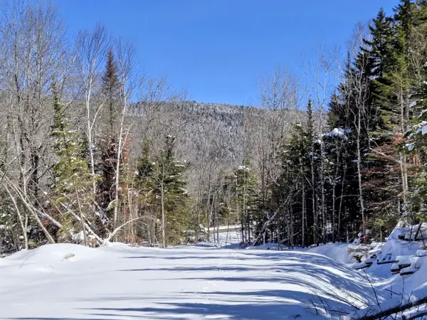 Lot 1 Main Street, Sandy River Plt, ME 04970