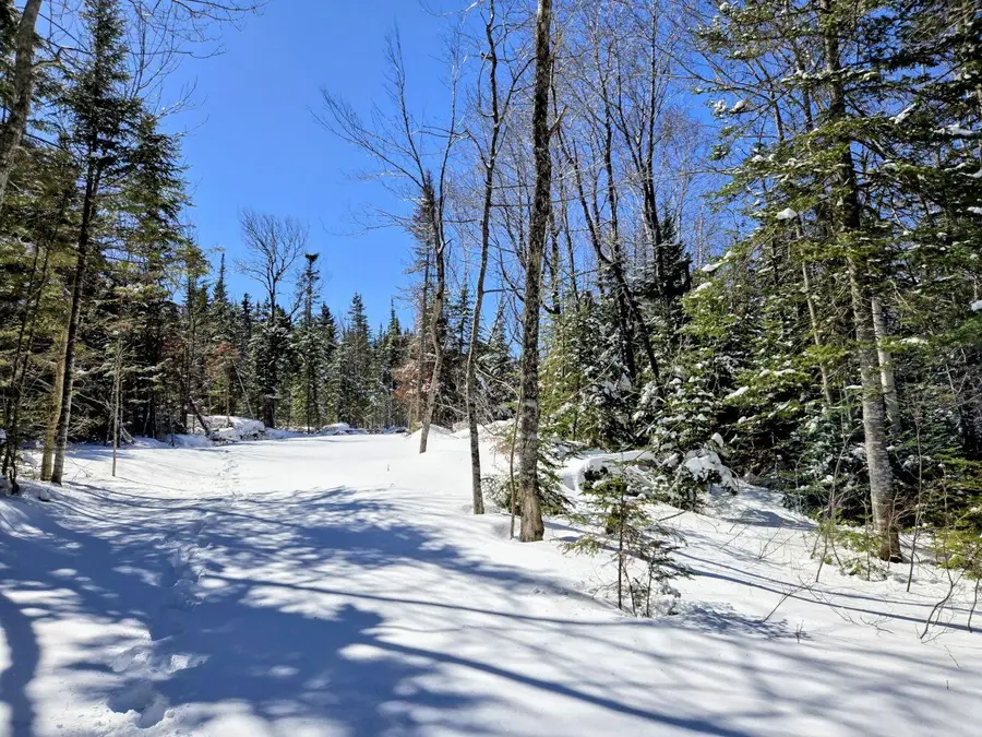 Lot 1 Main Street, Sandy River Plt, ME 04970 - #3