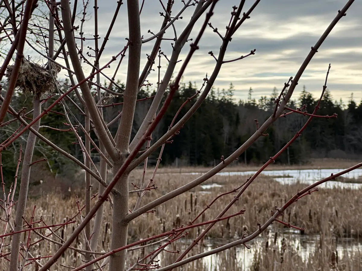 Lot #10 Ridge Road, Saint George, ME 04860 - #1