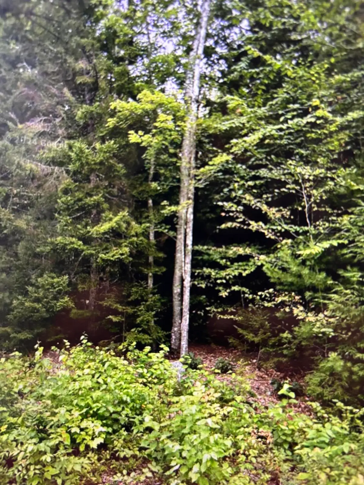 163 Sandy Acres Drive, Sullivan, ME 04664 - #1